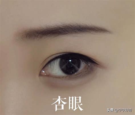 杏眼桃花眼怎麼分|如何區別桃花眼、杏眼、丹鳳眼？